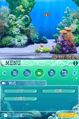 Image n° 3 - screenshots : Sakana to Asobou! Aquazone DS - Kaisuigyo
